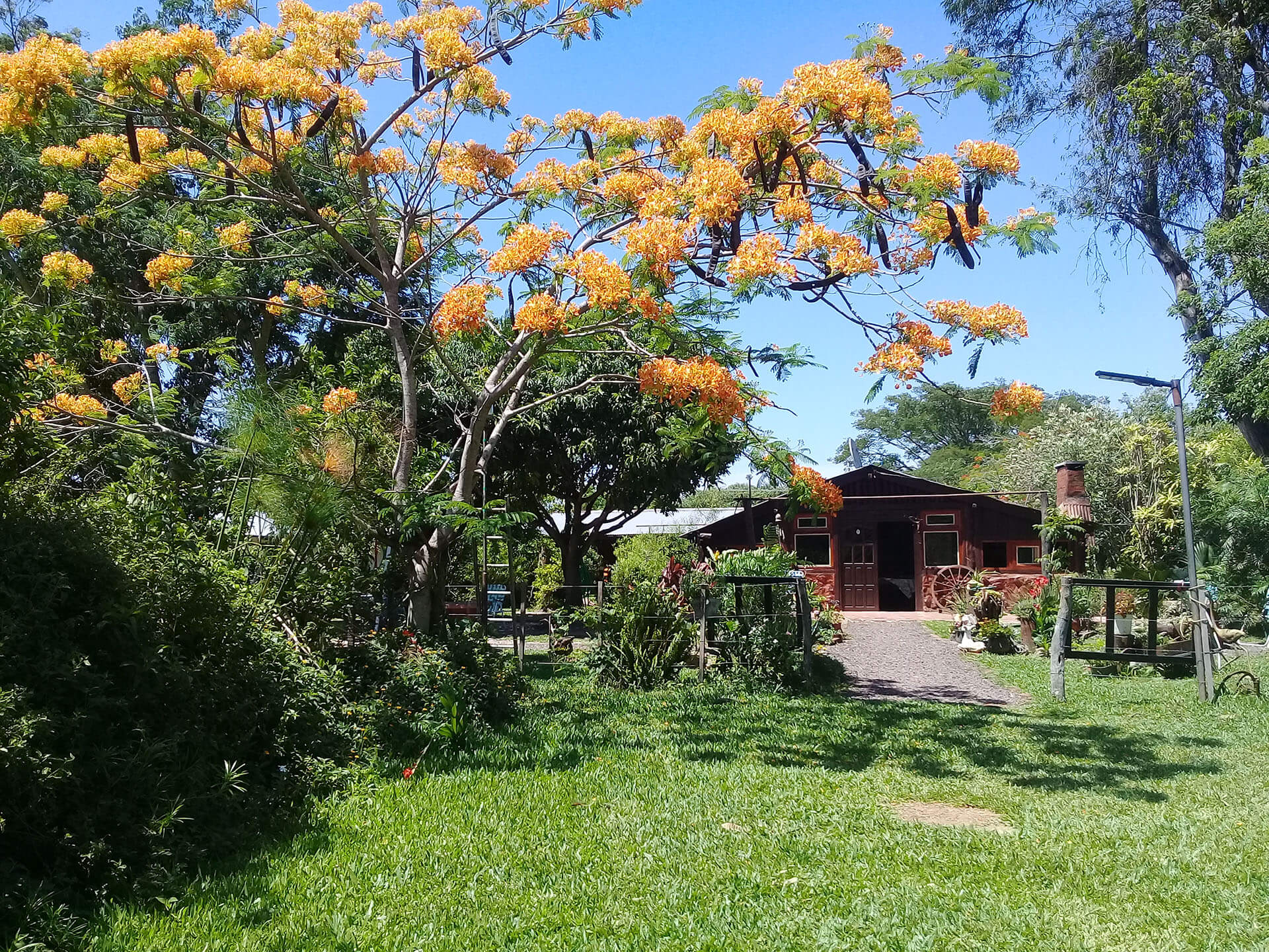 ibera-posada-san-cayetano-pellegrini-